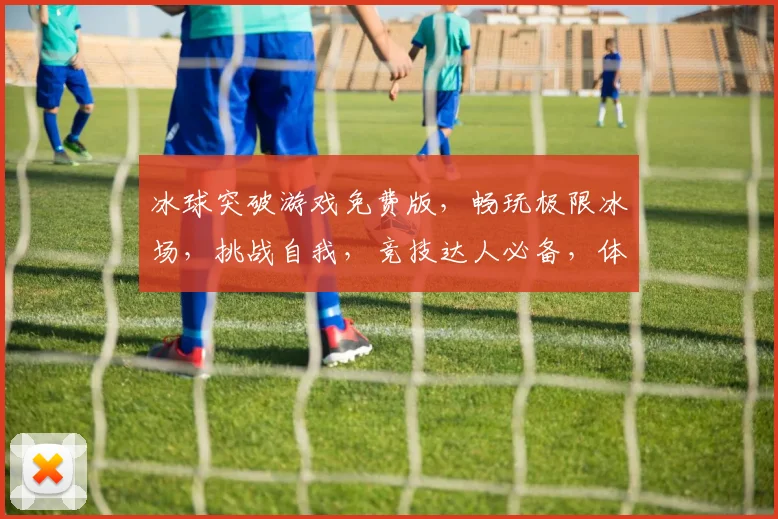 冰球突破游戏免费版，畅玩极限冰场，挑战自我，竞技达人必备，体验冰上速度与激情