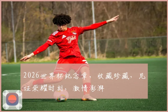 2026世界杯纪念章，收藏珍藏，见证荣耀时刻，激情澎湃