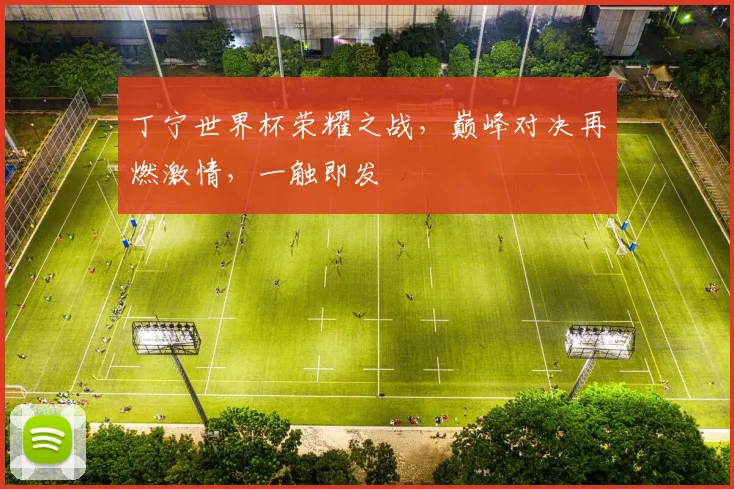 丁宁世界杯荣耀之战，巅峰对决再燃激情，一触即发
