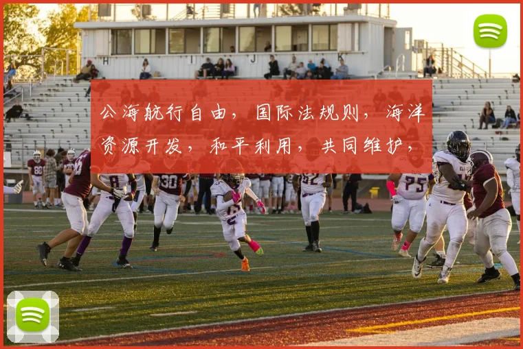 公海航行自由，国际法规则，海洋资源开发，和平利用，共同维护，三大要素，不可忽视。